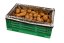 ZEMBOX na brambory a zeleninu – 20 kg