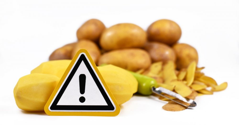 Prečo by ste nemali jesť zelené zemiaky? Nebezpečie sa skrýva v každom kúsku.